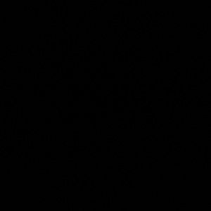 Meet your Posher, Ken